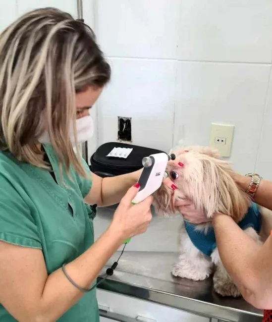 Exame especializado em pets